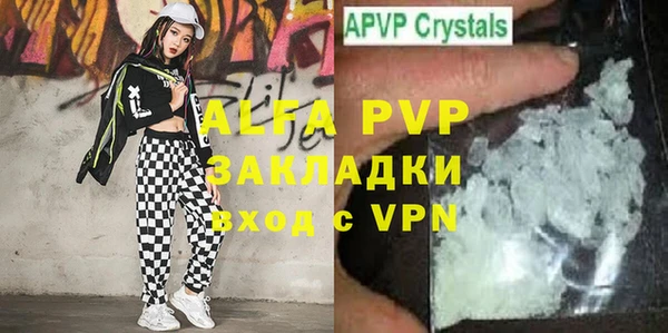 стаф Арсеньев