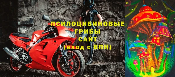 стаф Арсеньев